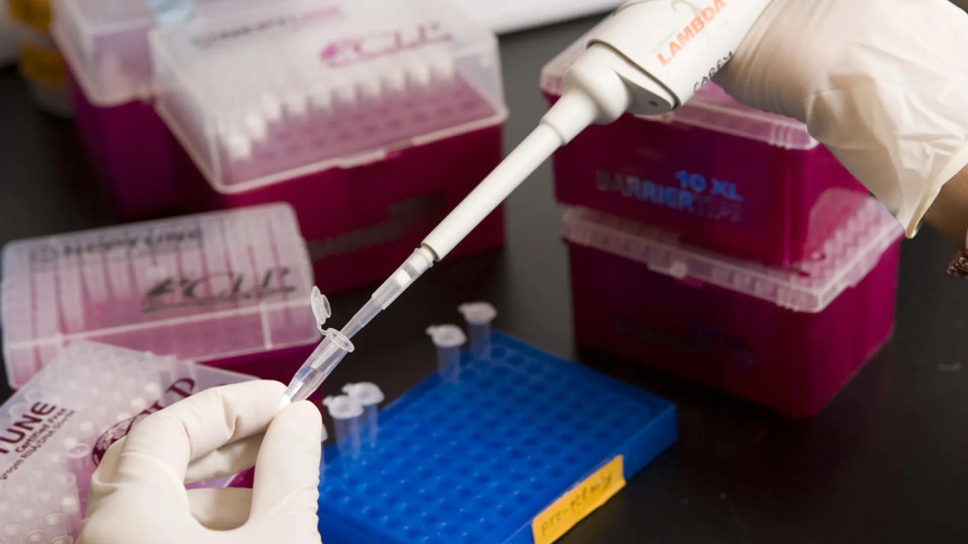 close-up of pipette