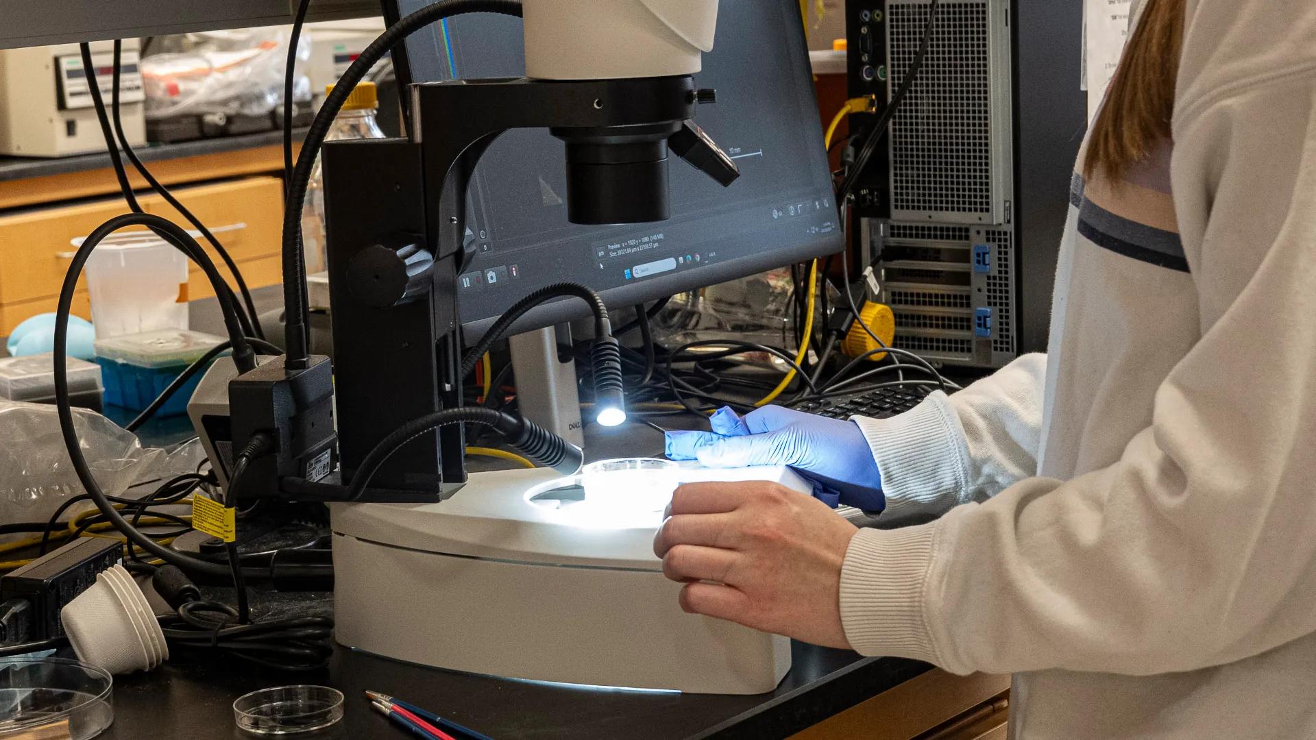 Lab member conducting research