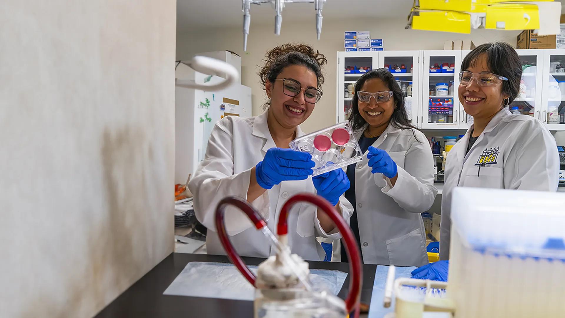 three researchers working in a lab