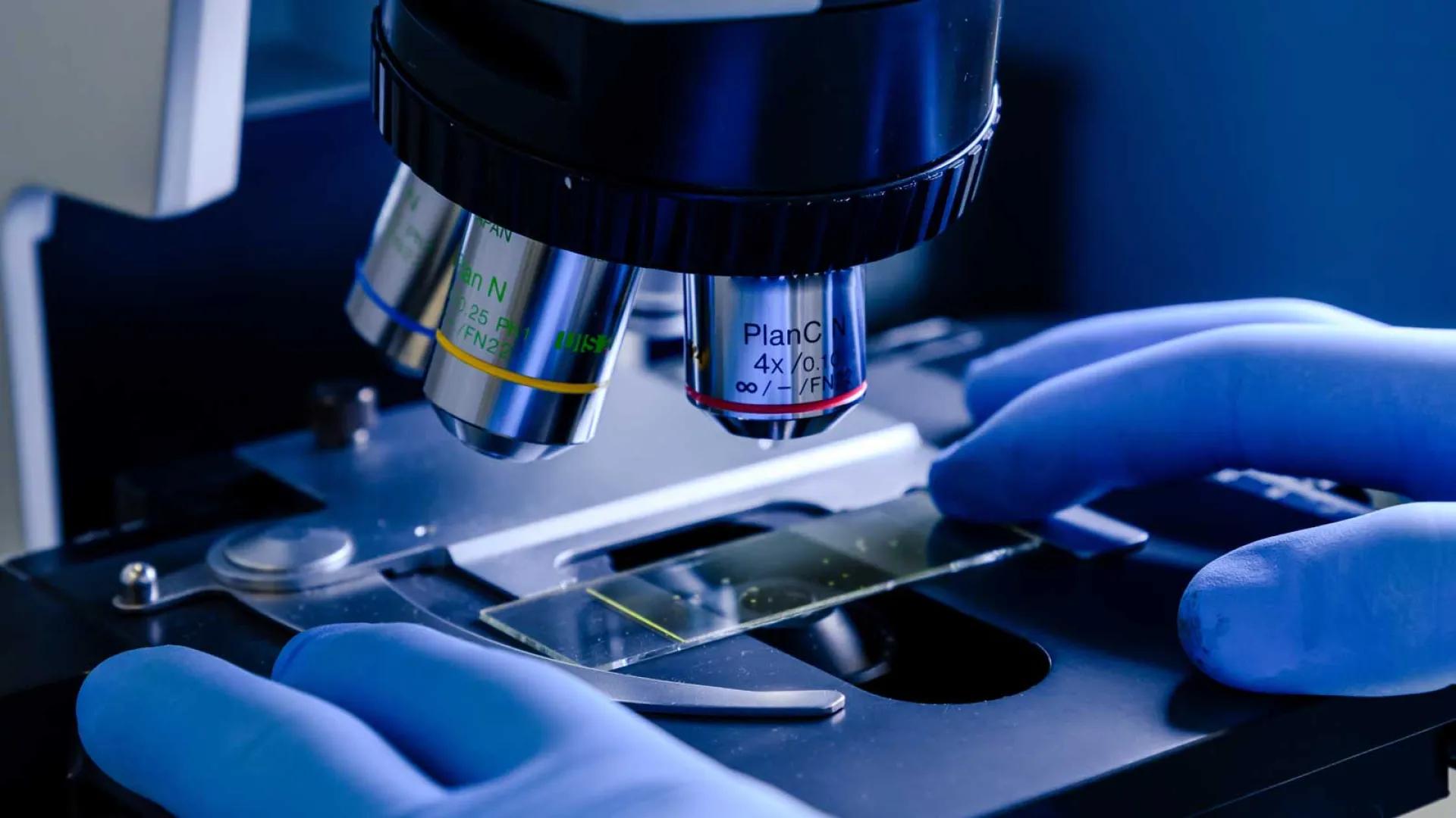 Hands placing a slide under a microscope
