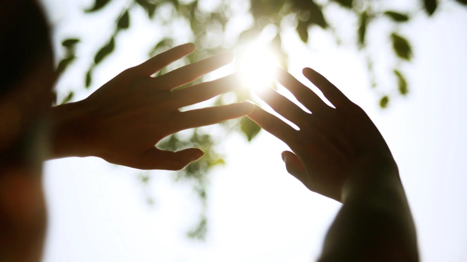 hands up in to sun blocking it in shadowy area under tree