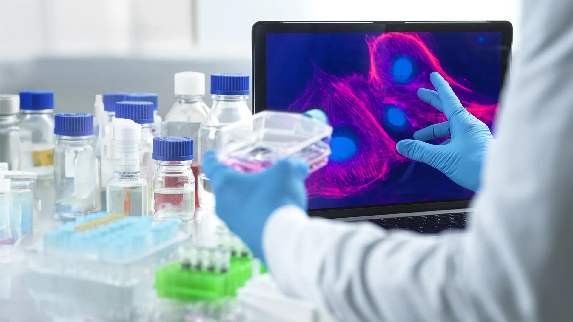 close-up of researcher working in a lab