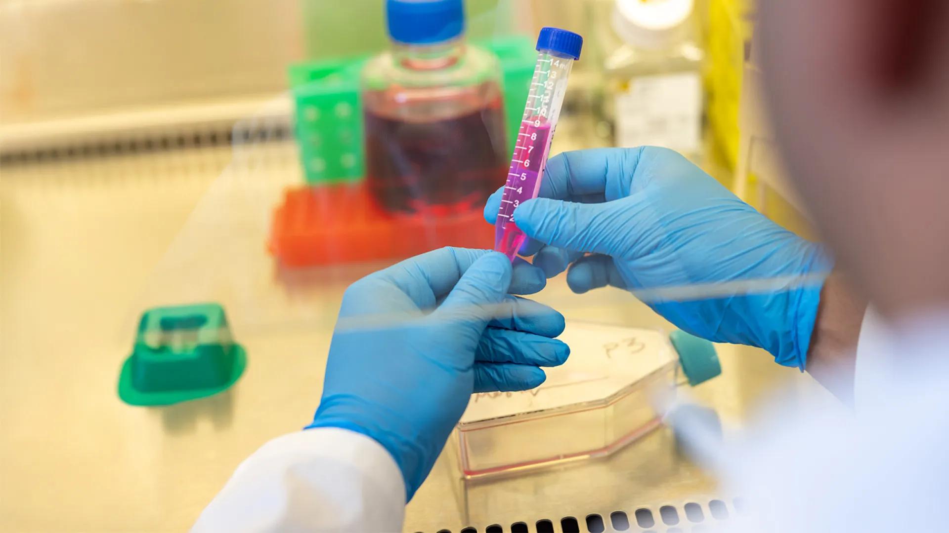close-up of researcher working in a lab
