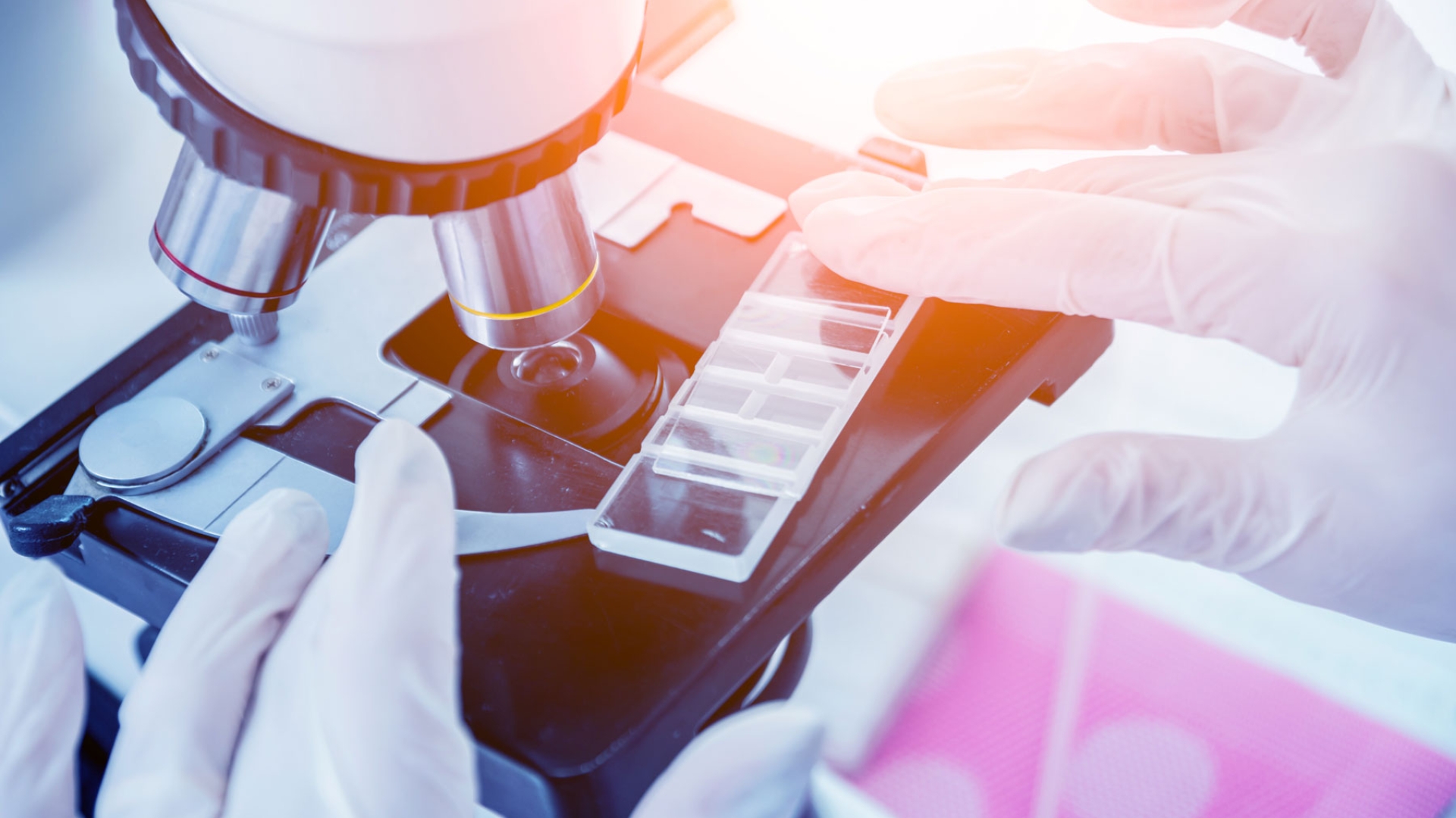 Close-up image of a microscope being used in a laboratory. A pair of gloved hands is adjusting the slide and microscope stage. Several glass microscope slides are visible on the stage, and the scene is brightly lit with a warm glow, suggesting active scientific research or diagnostics.