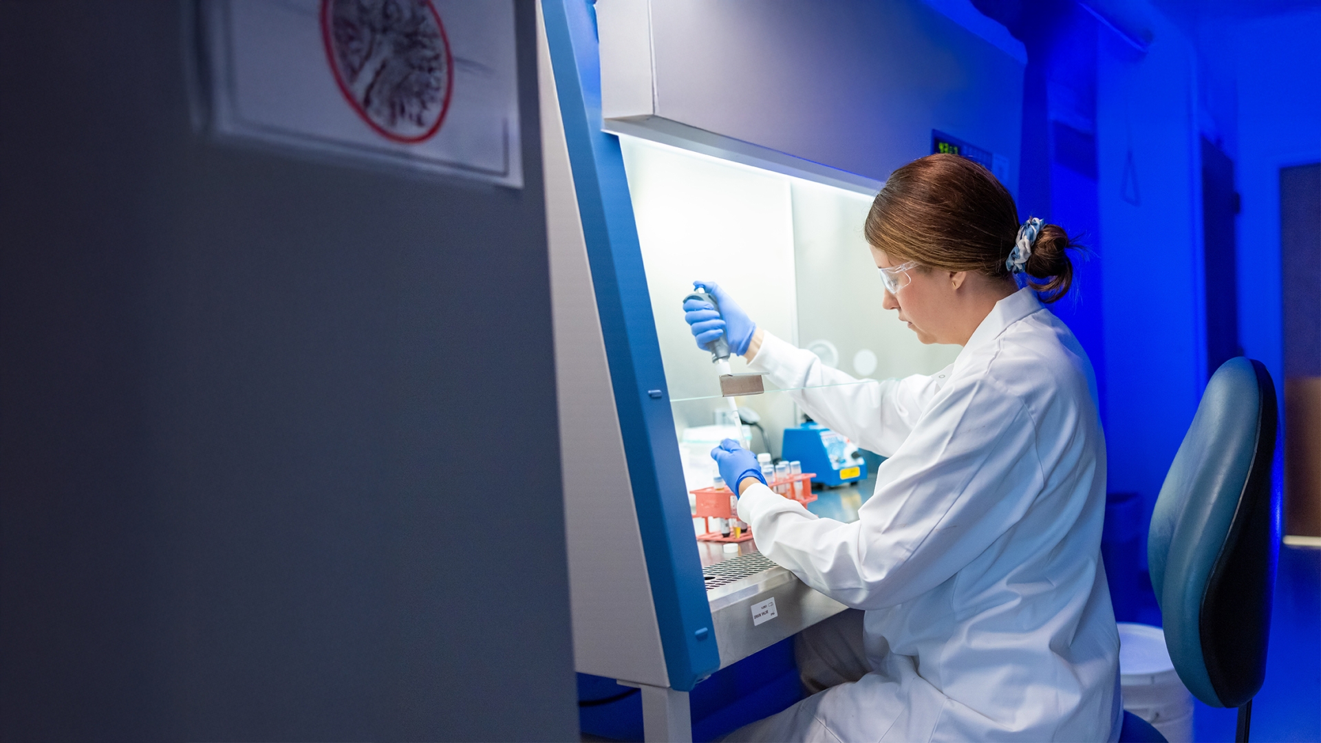 researcher working in the lab