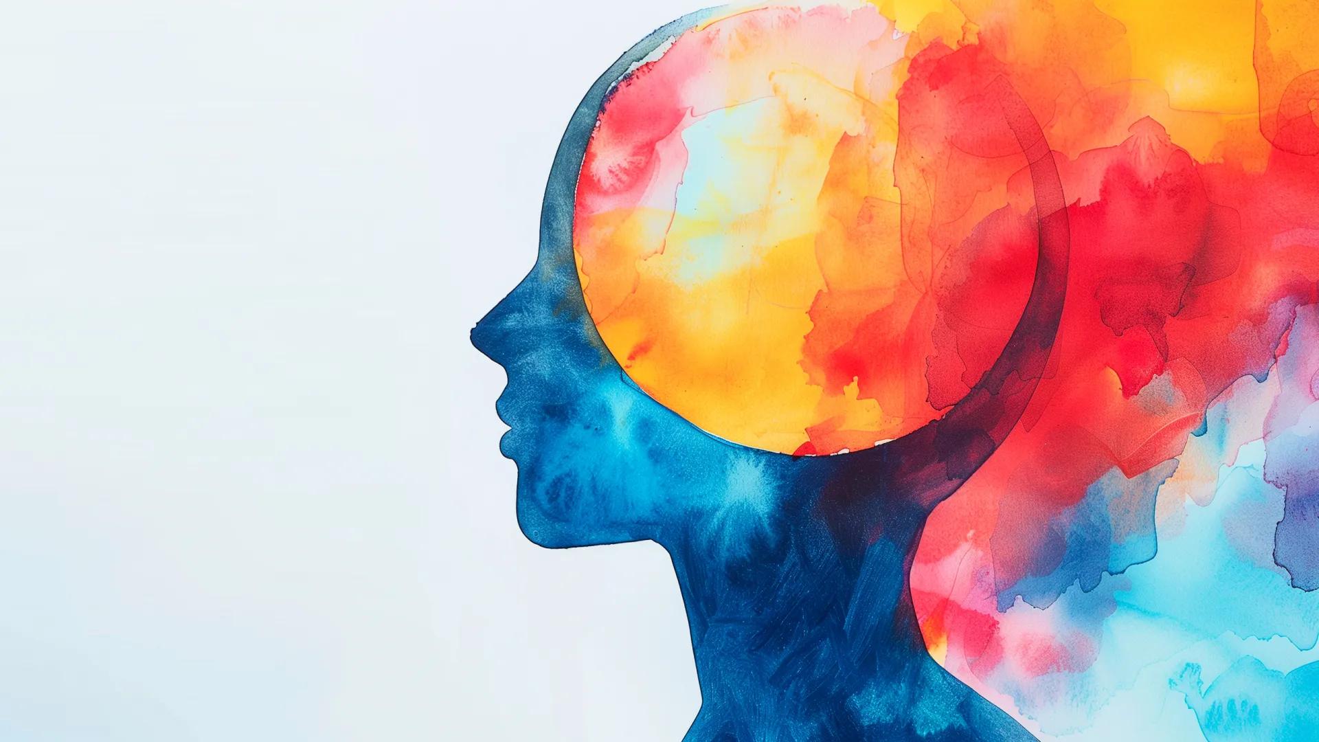 an illustration of a human head