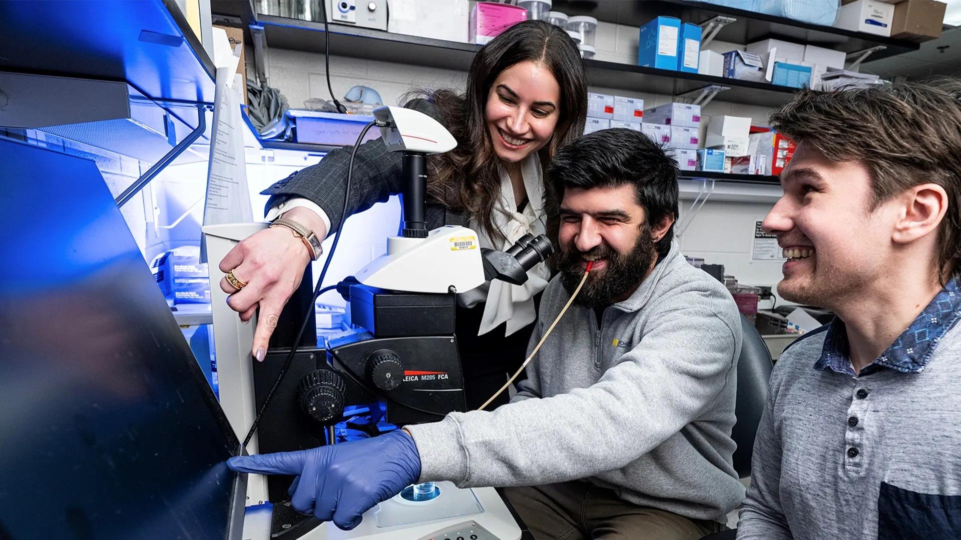 faculty professor is mentoring two students working on a microscopy image