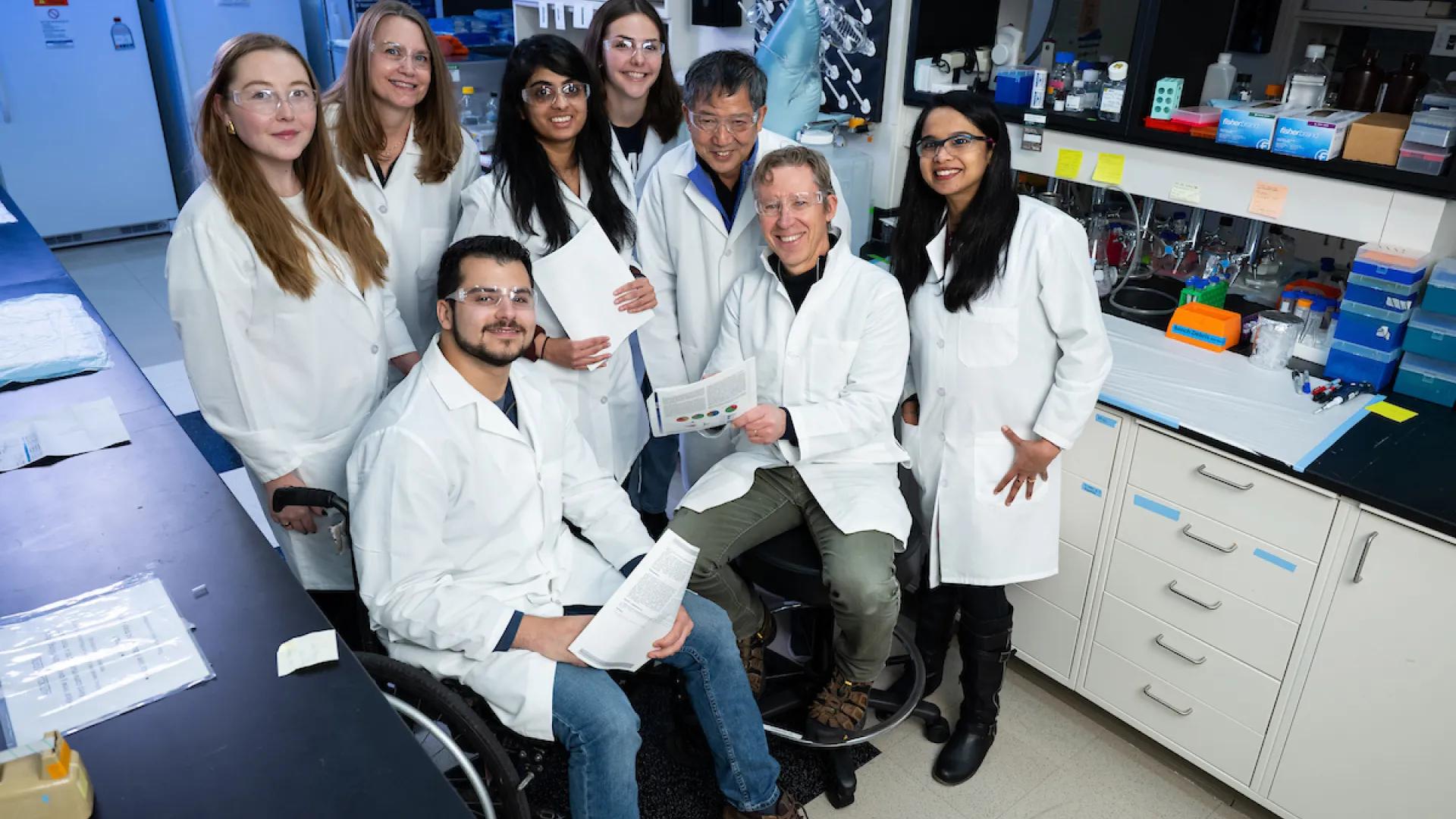 ljungmanlab 6