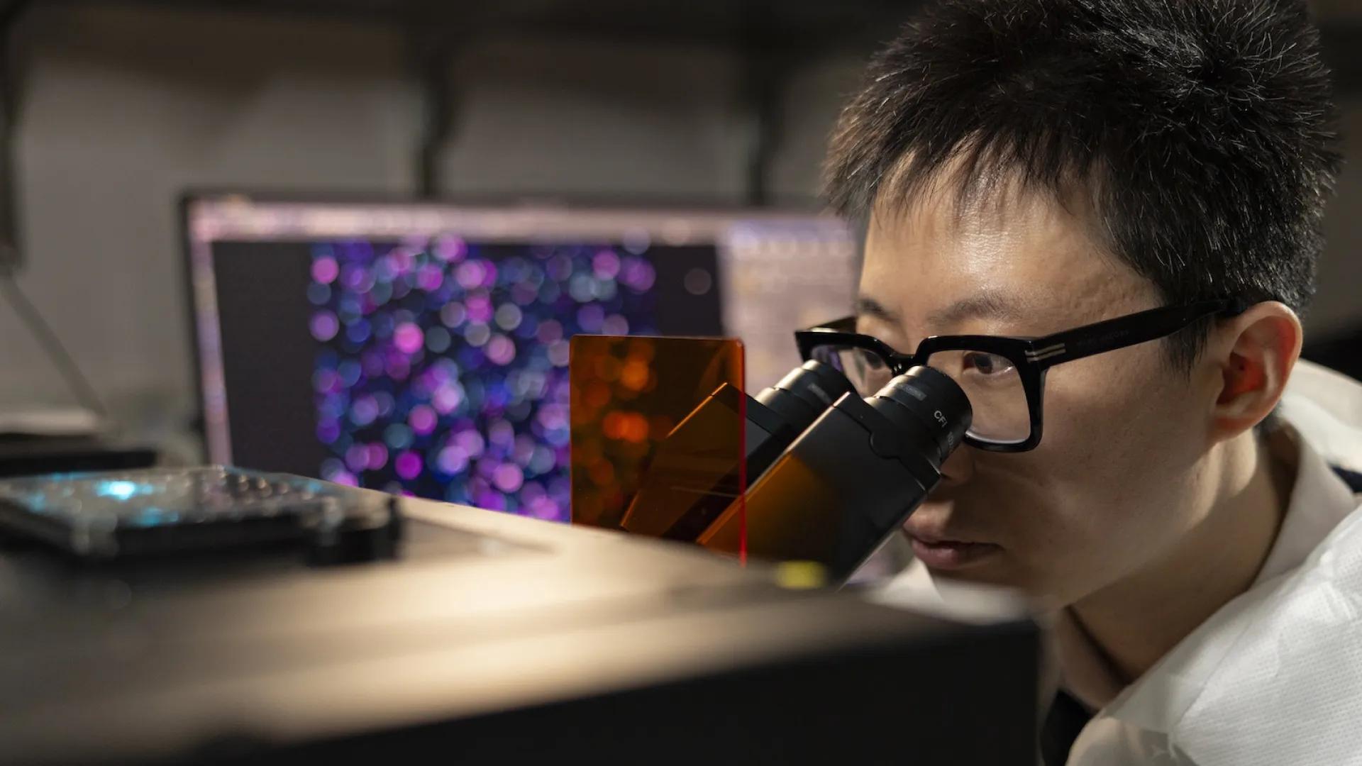 Lab member looking into microscope