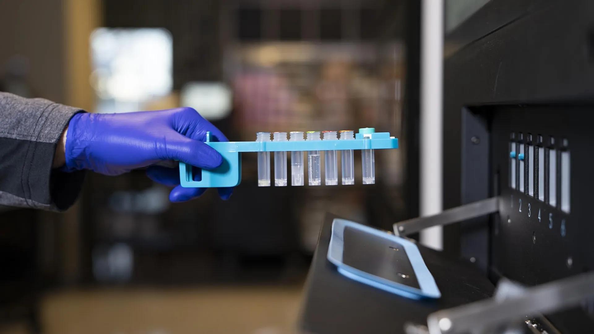 Next Gen Sequencing