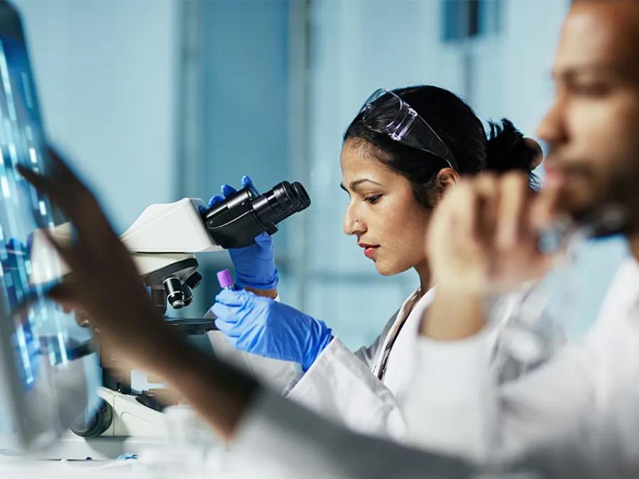 Doctors performing research