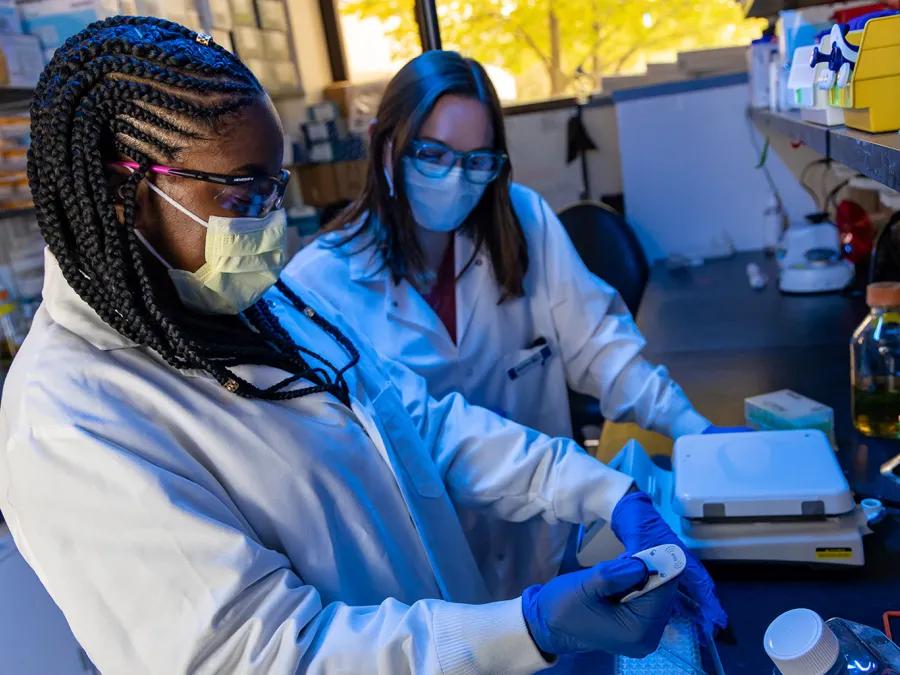 Students in Snitkin lab