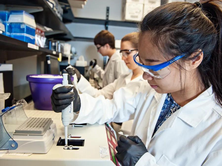 A female researcher works in the lab