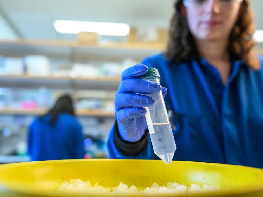 A scientist in a blue lab coat holds a test tube over a yellow bowl filled with ice.