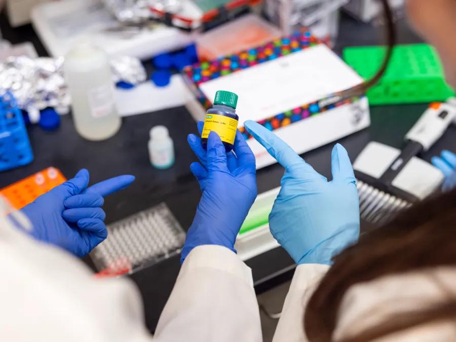 Researchers in lab point to the label on the bottled chemicals 