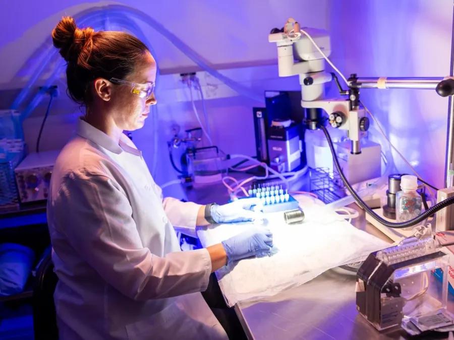 woman working in research lab