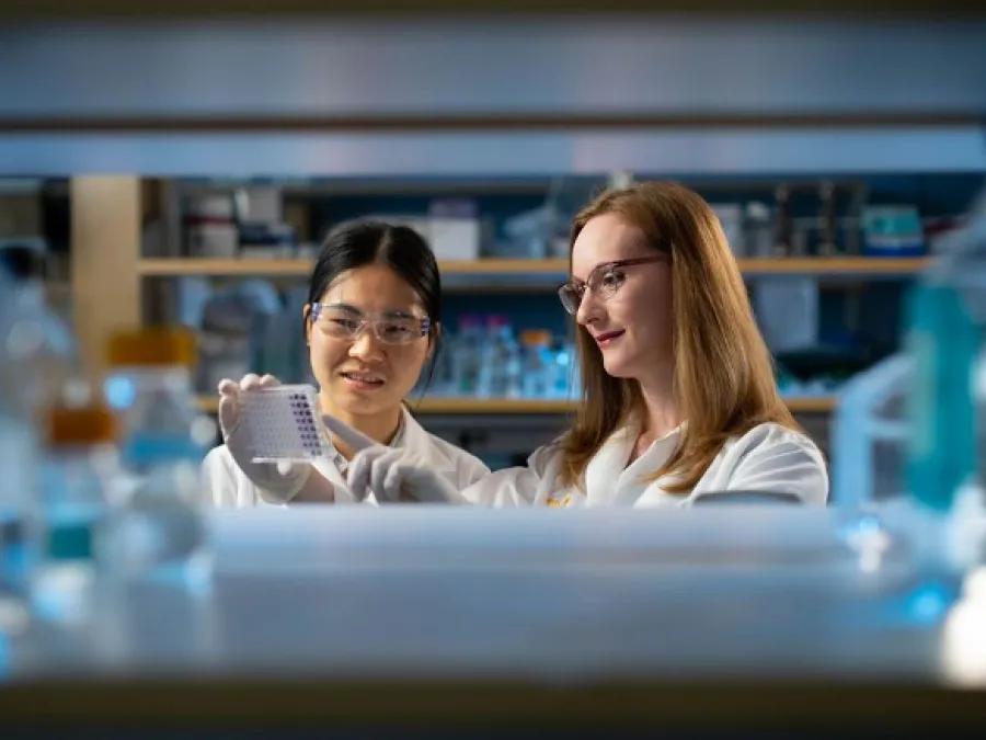 two scientists in research lab