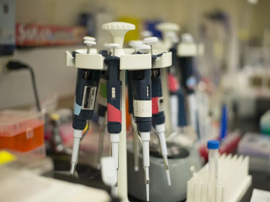 lab tools on a holder