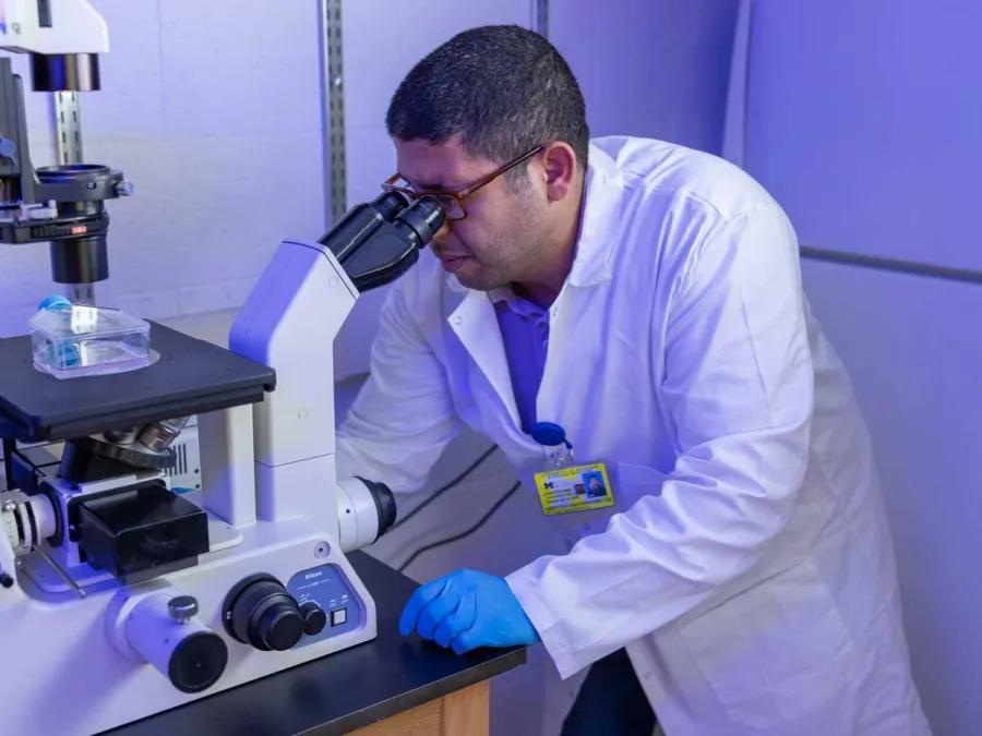 A scientist in a white lab coat and blue gloves looks through a microscope in a laboratory. A clear plastic sample container is placed on the microscope stage, and the scene is illuminated with blue lighting. The researcher wears an ID badge and appears focused on the analysis.