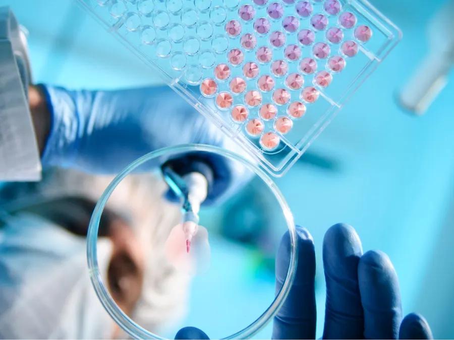 Researcher pipetting - view from below through transparent bench