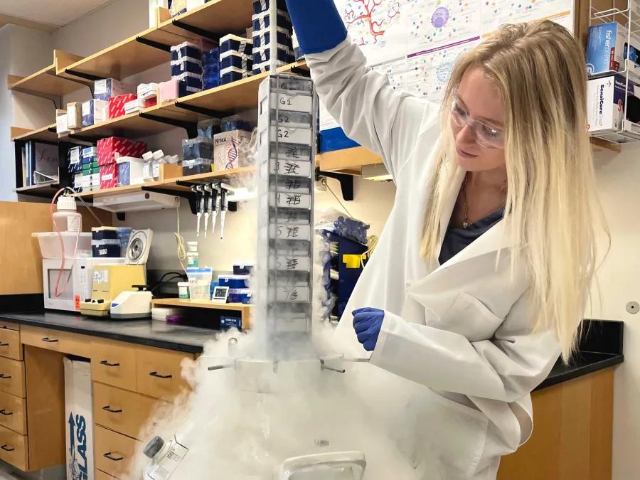 Lab member working with equipment in the lab