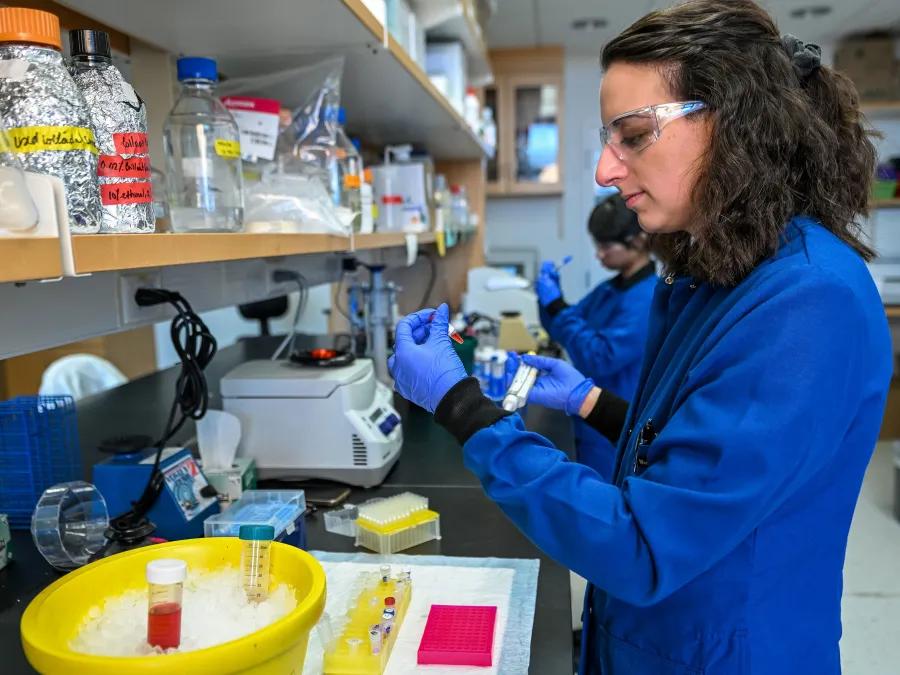 Lab member working with equipment in the lab