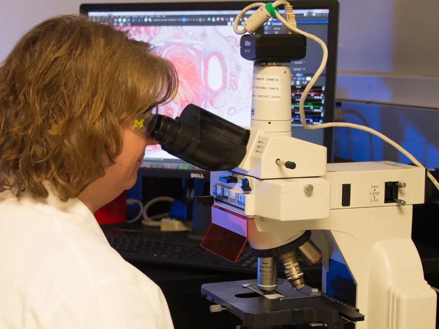 Lab member looking through a microscope