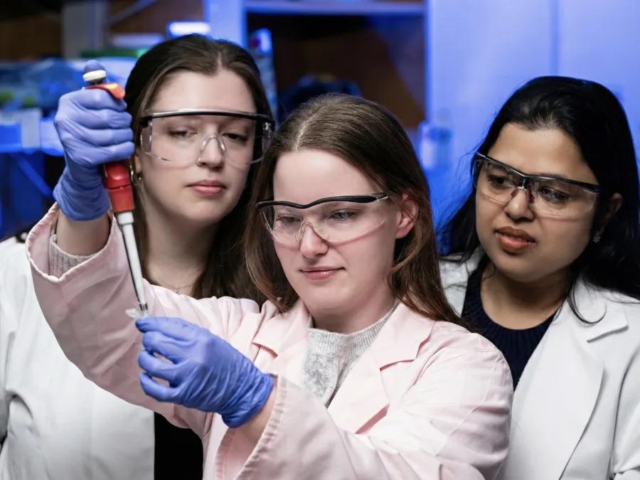 Three scientists inspect a sample
