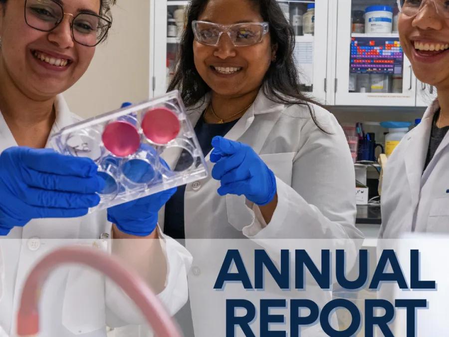 CDI Annual Report 2025