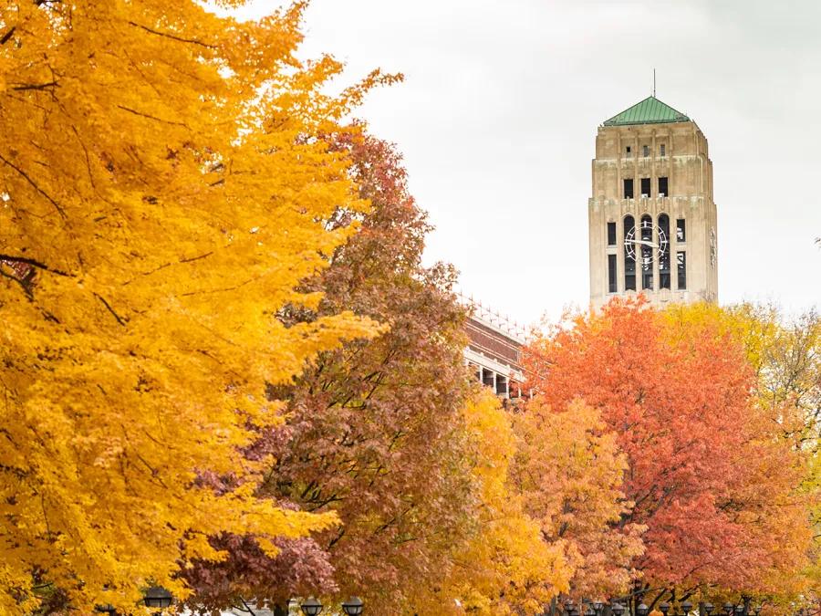Fall colors on the University of Michigan campus