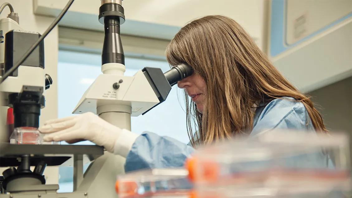 Researcher looking through a microscope
