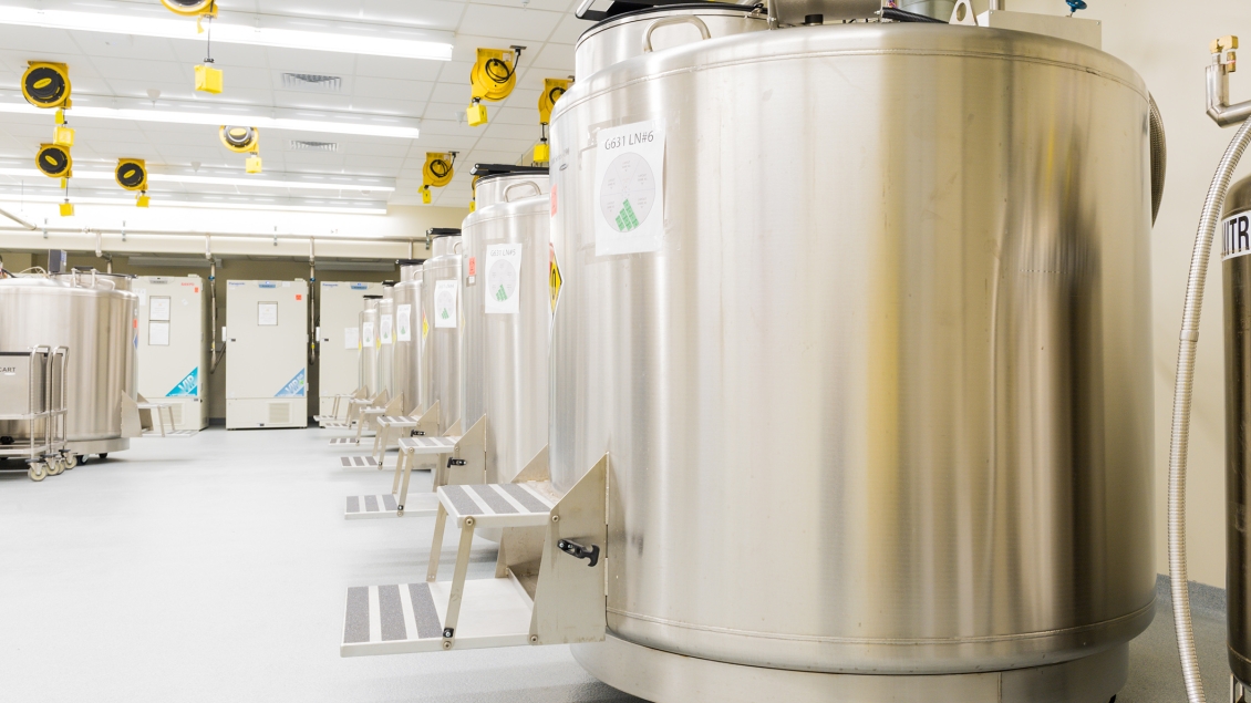 Photo of CBR liquid nitrogen tanks in the storage room