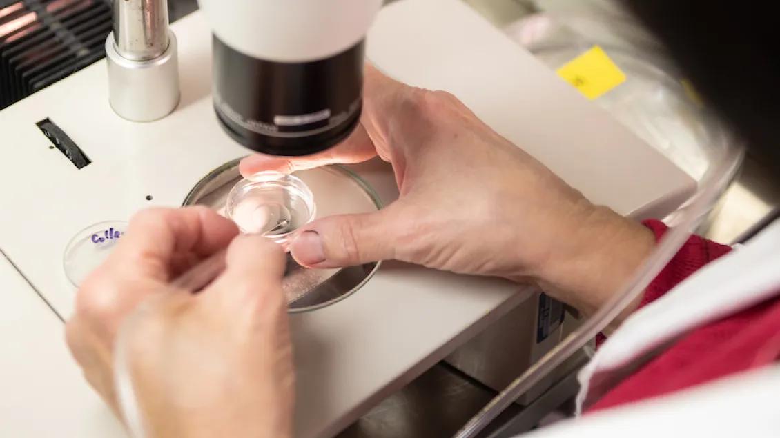researcher working in lab close-up perspective