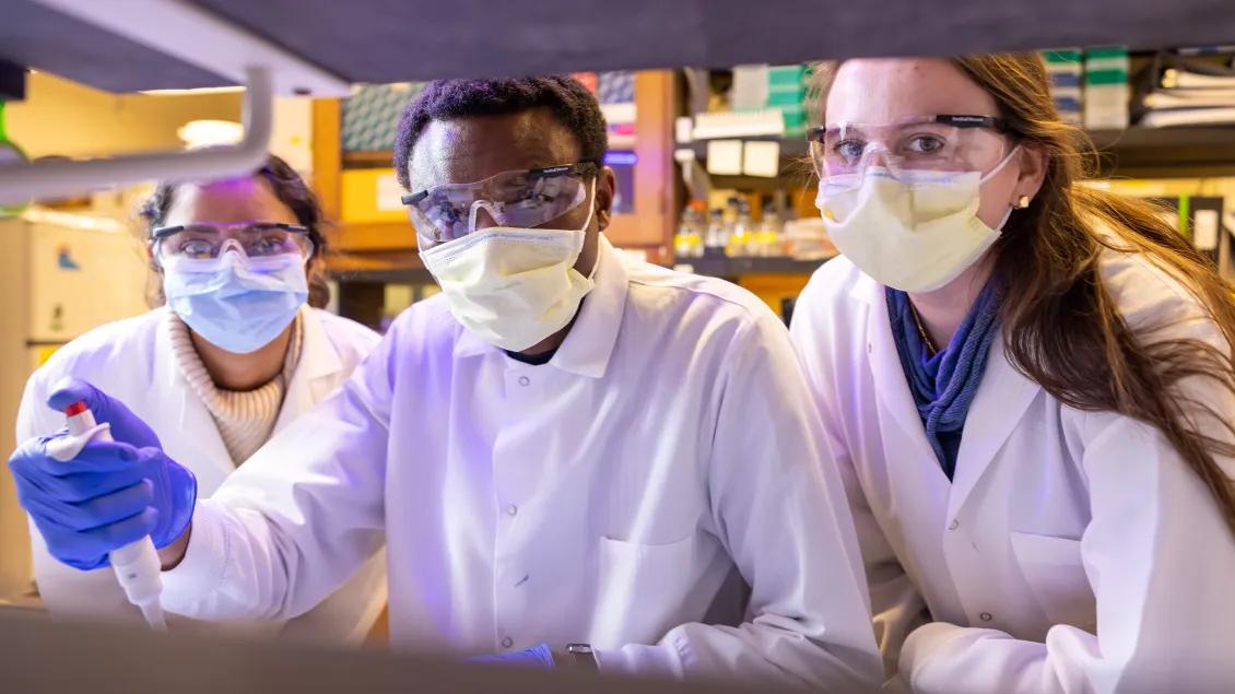 students and lab manager Theodora Ceccarelli in Professor Raghavan's lab