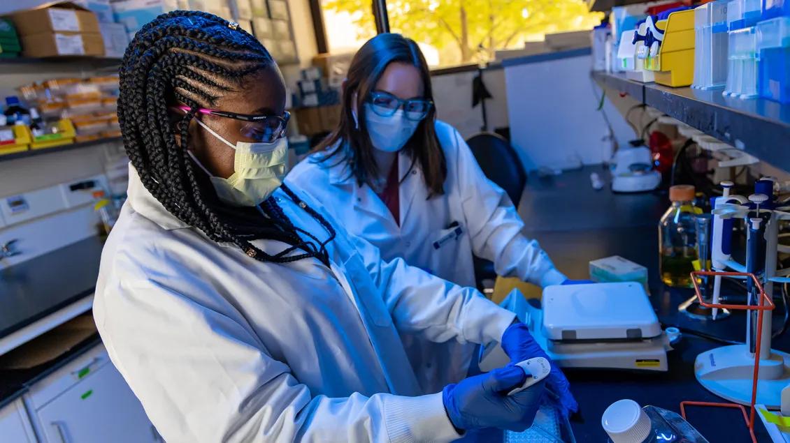Students in Snitkin lab