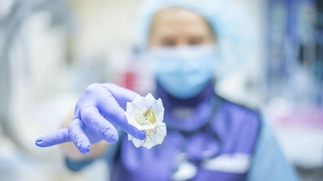 Blurred gowned female in blue cap, mask and wearing lavender gloves holding heart valve