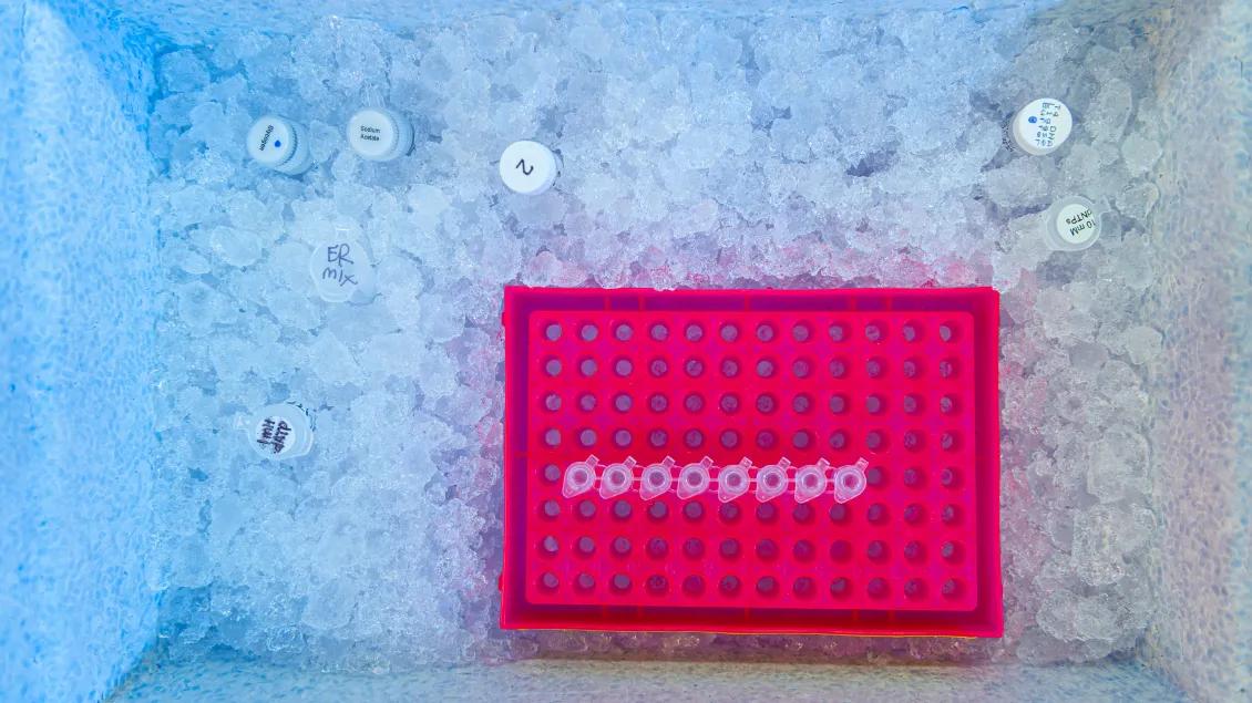 Equipment in the Epigenomics Core