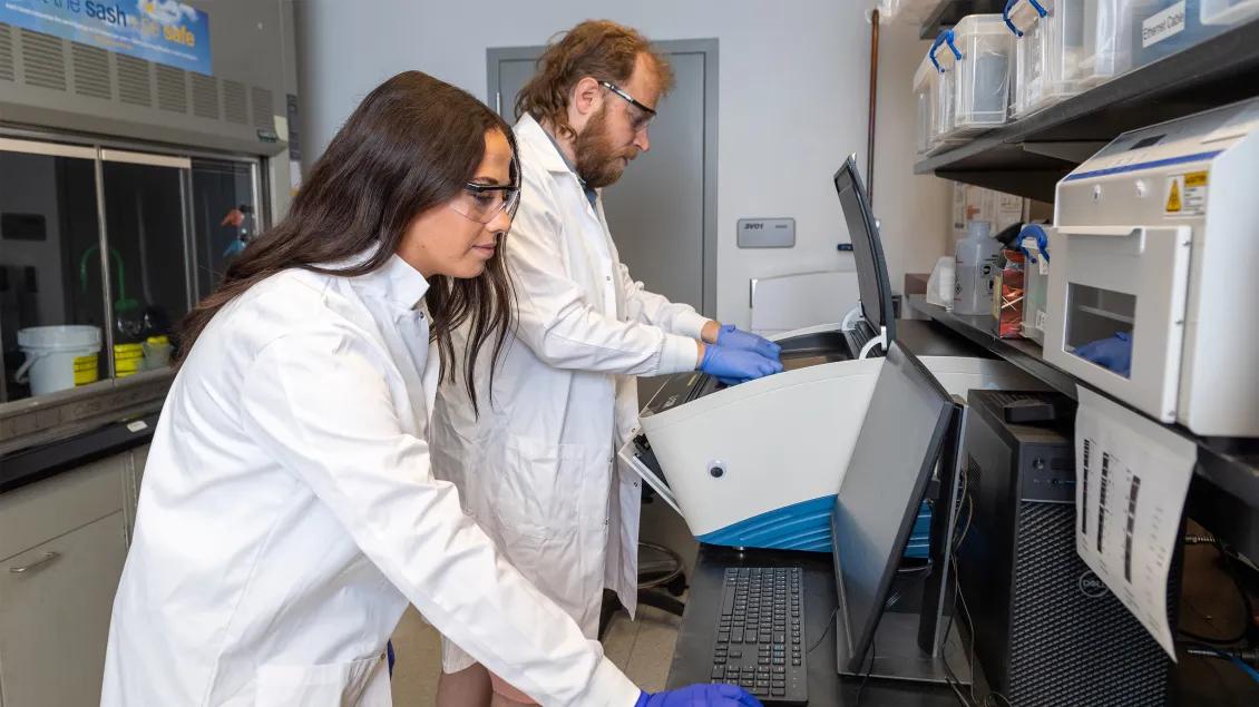 students in a lab working and wearing latex gloves 