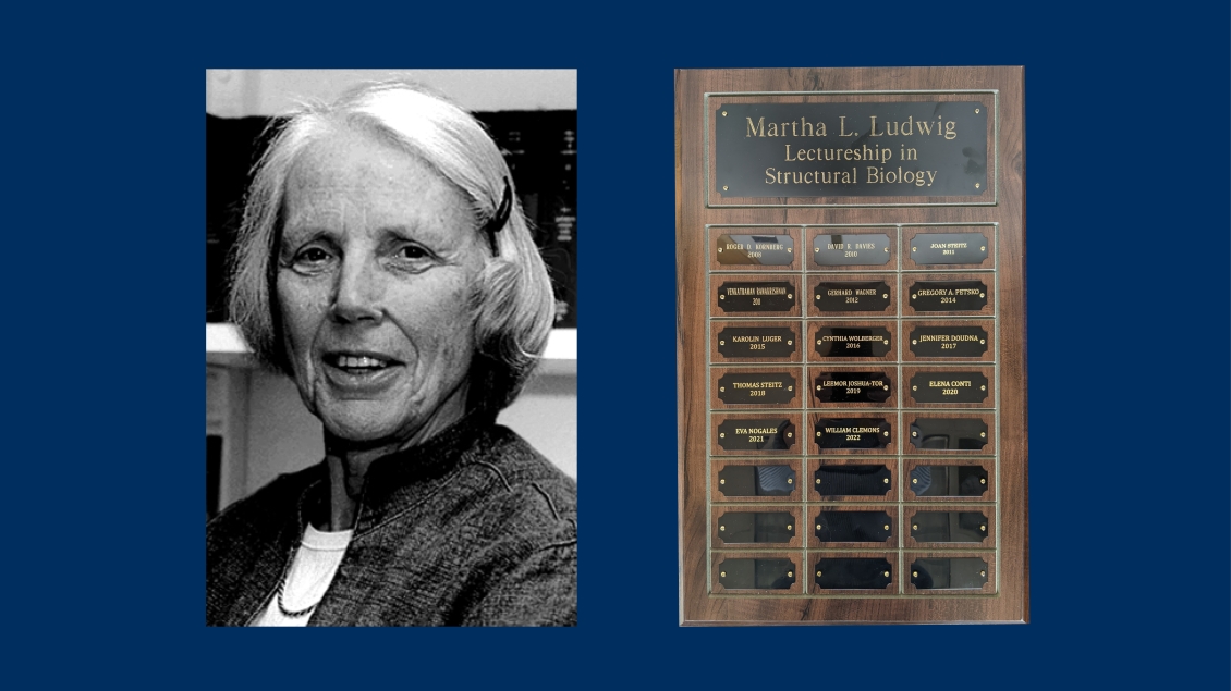 profile photo of Martha Ludwig lectureship 