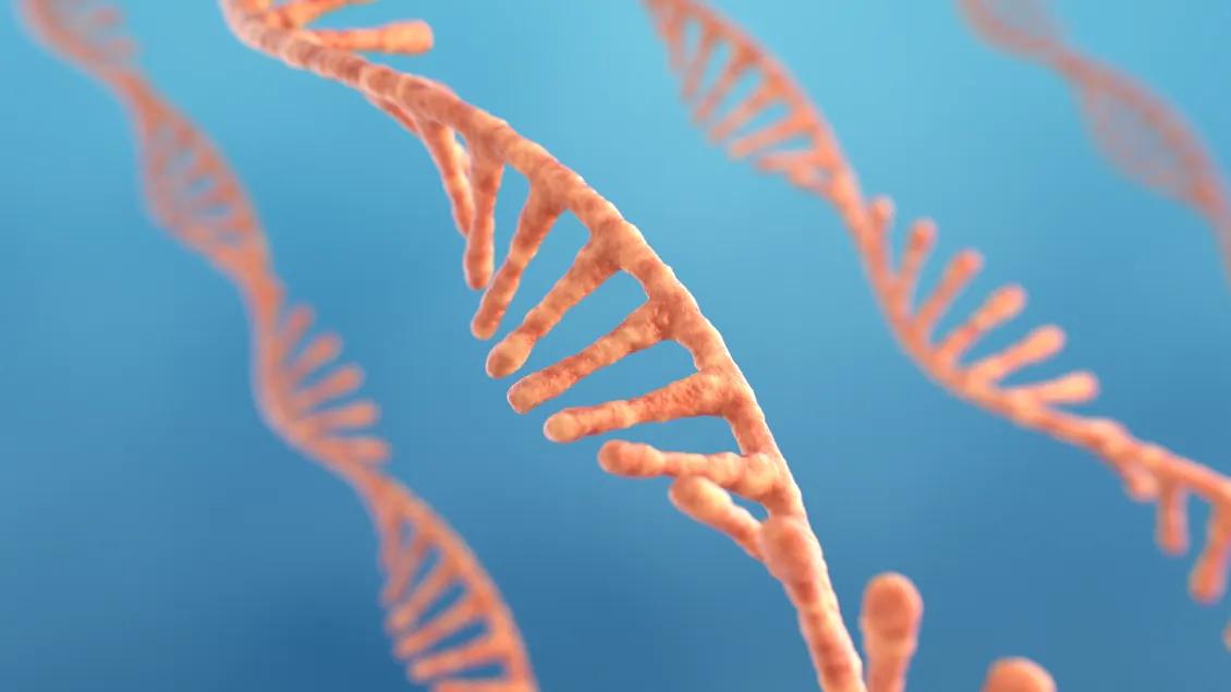 graphic of rna