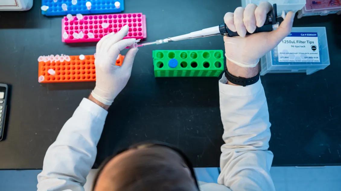Research staff in a lab