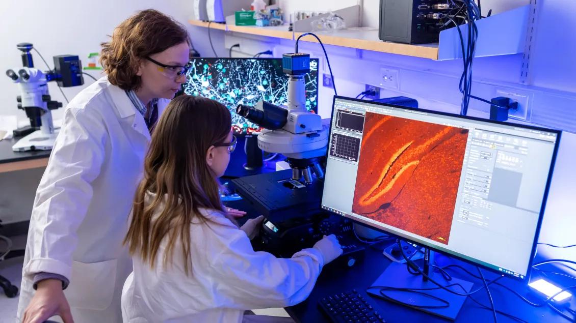 two researchers at a computer and microscope in a lab