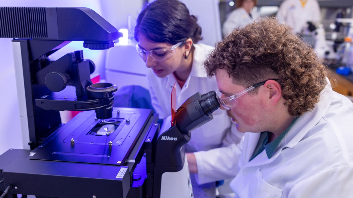 two researchers looking through microscope 