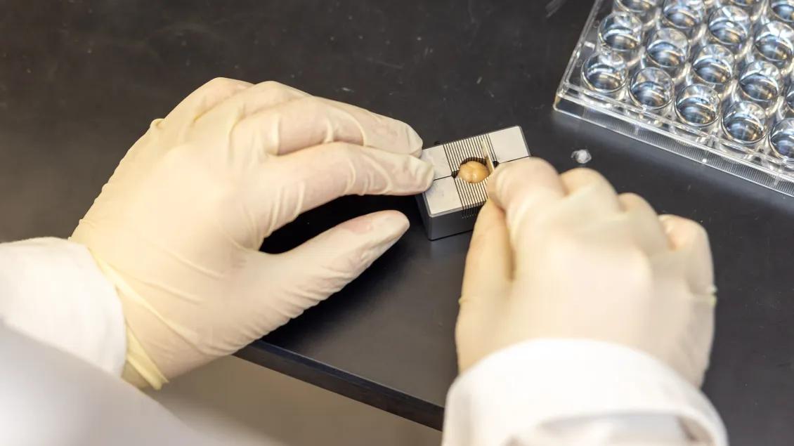 Researcher wearing gloves uses lab tools 