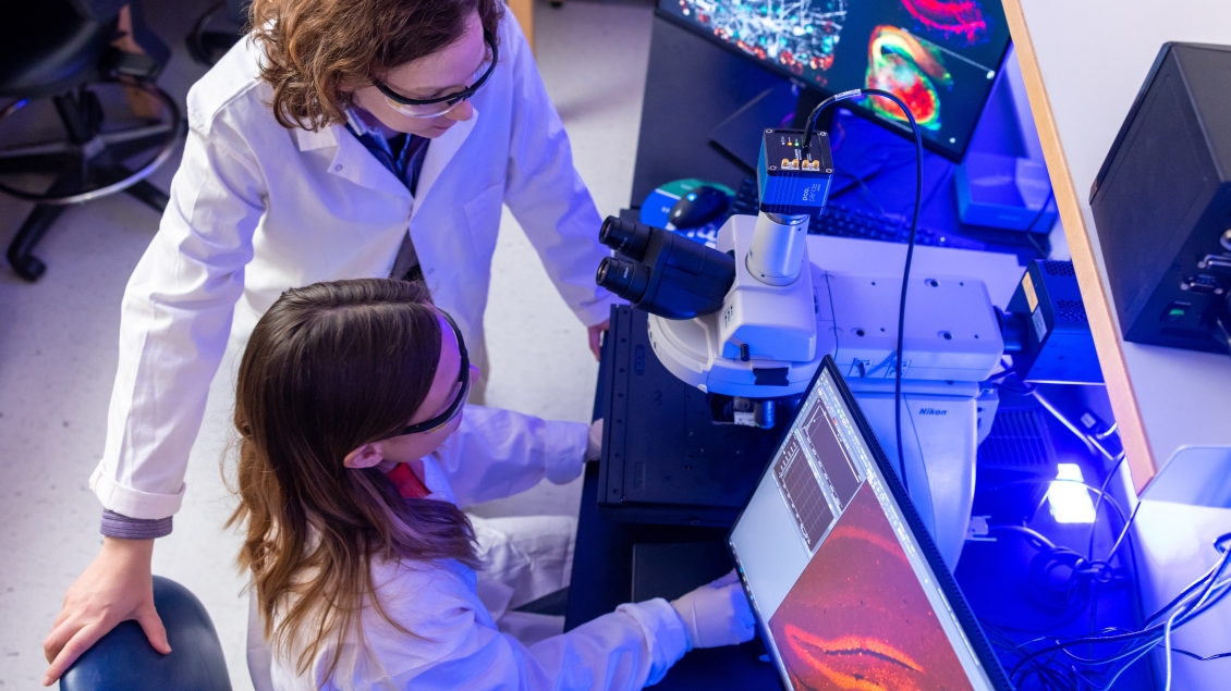 Researchers looking through microscope