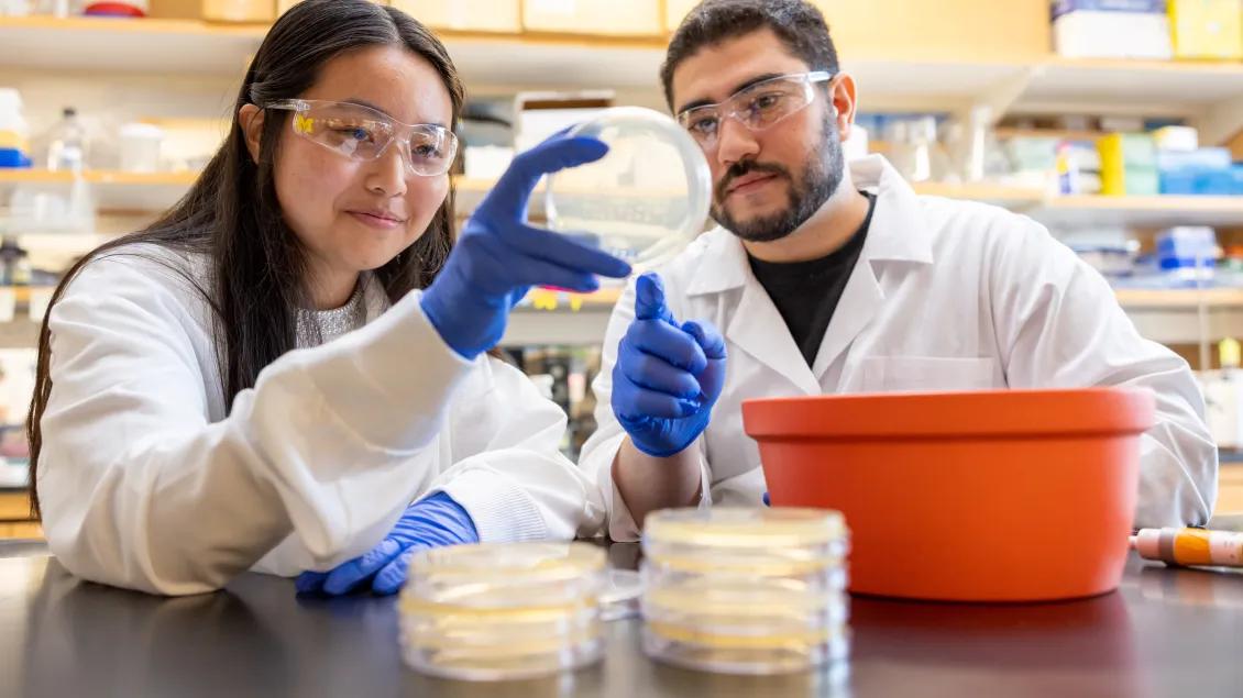 Researchers in cell lab work together 