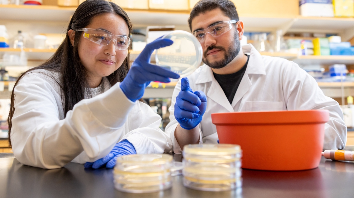 Researchers in cell lab work together 