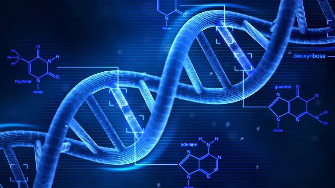 virtual dna strand