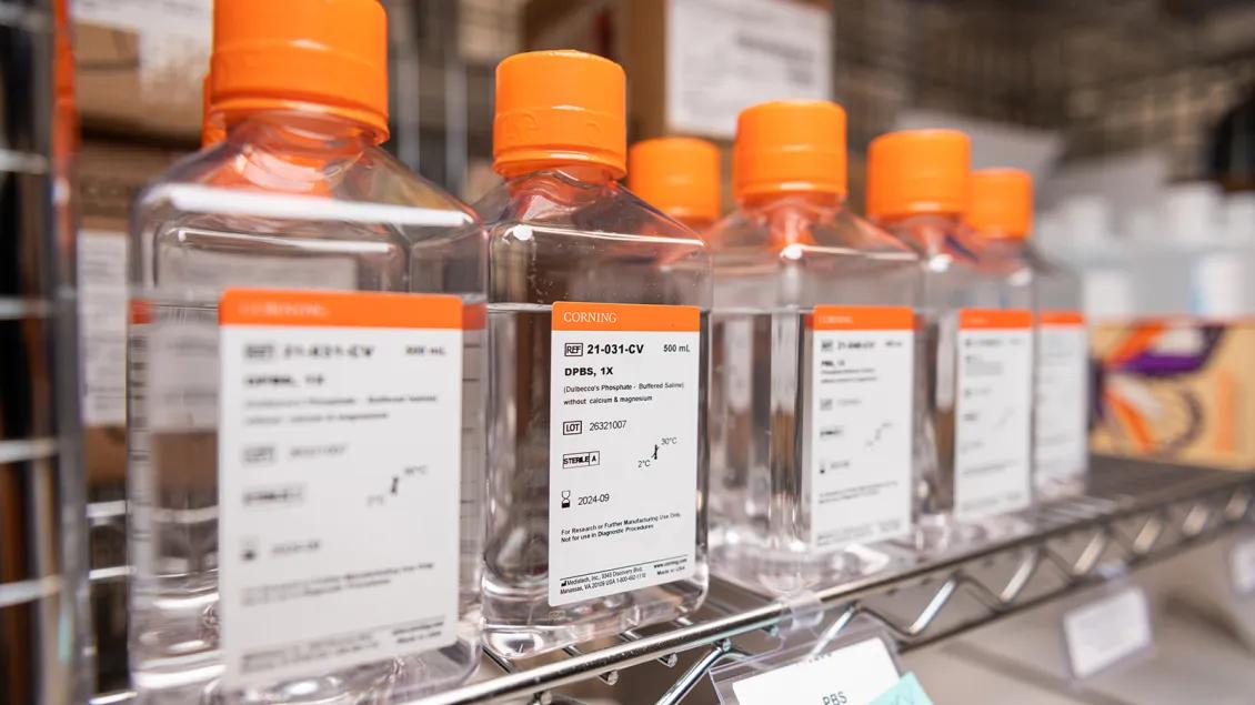 close-up image of store products on the shelf
