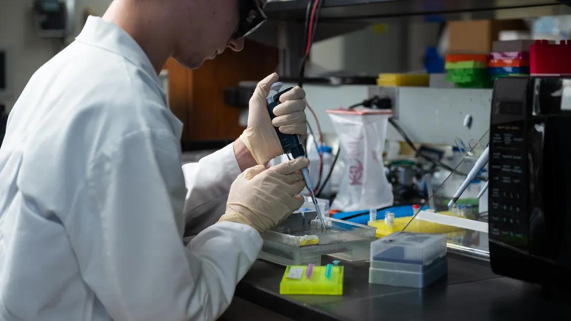 young researcher working in lab